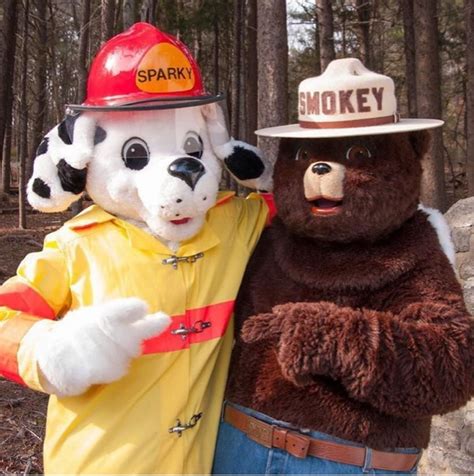 The <b>Smokey</b> <b>Bear</b> Historical Park is located on highway 380 (better known as 118 W. . Smokey bear stamford